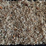 le Granola maison est réparti sur une plaque avant la cuisson